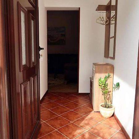 Exclusive Apartment Muo 科托尔 外观 照片